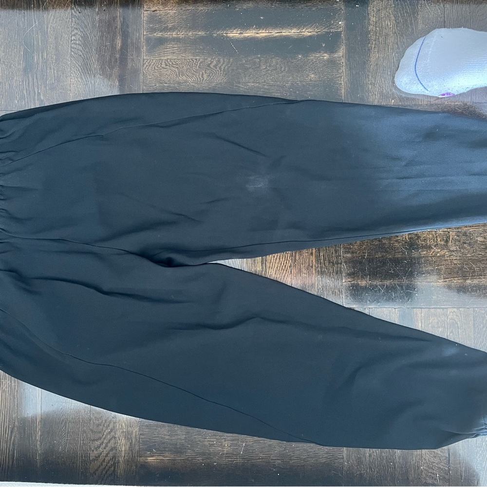 Aritzia Babaton trousers